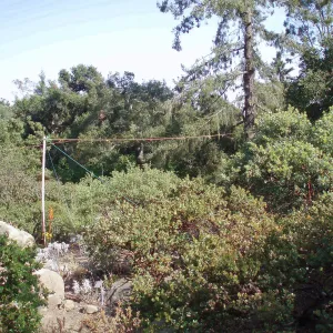 Story Poles, Manzanita Section, Vital Mission Plan