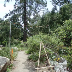 Story poles, Manzanita Section, Vital Mission Plan