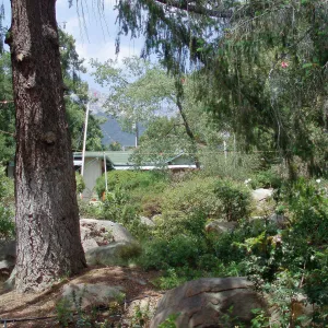 Story poles, Manzanita Section, Vital Mission Plan