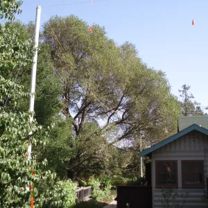 Story Poles, around Cottage, Vital Mission Plan