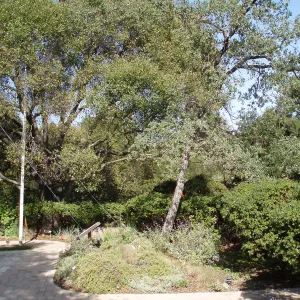 Story Poles, around Cottage, Vital Mission Plan