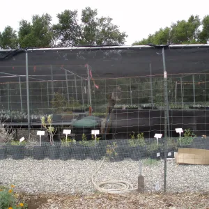 Story Poles in Garden Growers Canyard, Vital Mission Plan