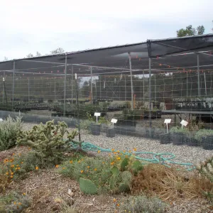 Story Poles in Garden Growers Canyard, Vital Mission Plan