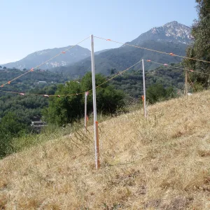 Story Poles, Cavalli Property, Vital Mission Plan