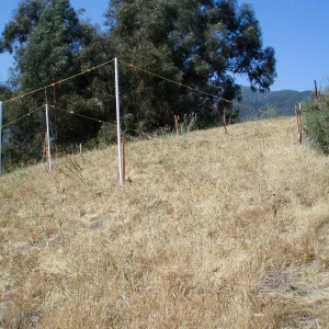 Story Poles, Cavalli Property, Vital Mission Plan
