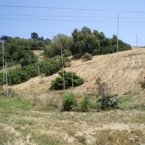 Story Poles, Cavalli Property, Vital Mission Plan