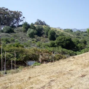 Story Poles, Cavalli Property, Vital Mission Plan