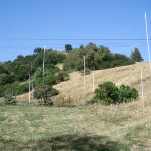 Story Poles, Cavalli Property, Vital Mission Plan
