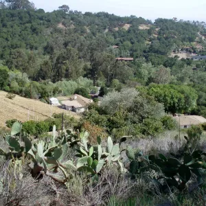 Story Poles, Cavalli Property, Vital Mission Plan