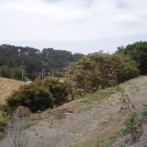 Story Poles at Cavalli Property, Vital Mission Plan