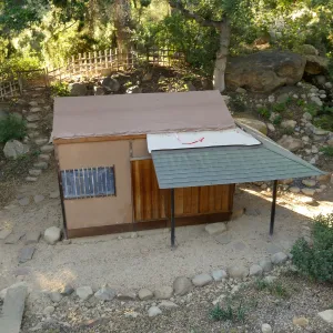 Teahouse & Garden Improvements 2017, looking west