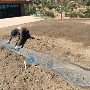 Gopher wire edge of Island View Garden lawn