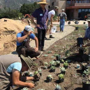 Planting the Island View Garden around the new lawn