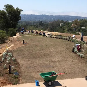 Planting the Island View Garden around the new lawn