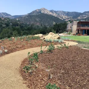 Island View Garden