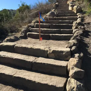 Reconstructed stairs down south slope of Island View Garden