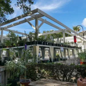 New shade structure at Garden Growers Nursery