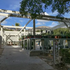 New shade structure at Garden Growers Nursery