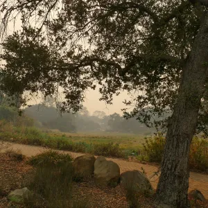 Looking south from top of Meadow through smoke from Thomas Fire
