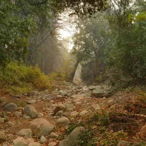 Mission Creek in smoke from Thomas Fire