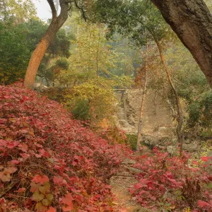 Mission Dam in smoke from Thomas Fire