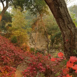 Mission Dam in smoke from Thomas Fire