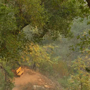 Audrey's Place bench in smoke from Thomas Fire