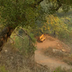 Audrey's Place bench in smoke from Thomas Fire