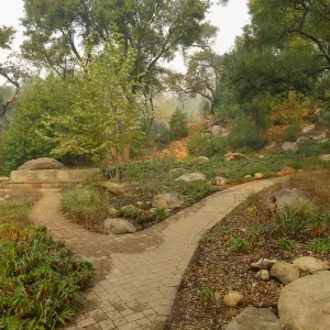 Wooded Dell in smoke from Thomas Fire
