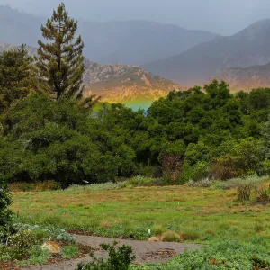 Low rainbow over the Meadow