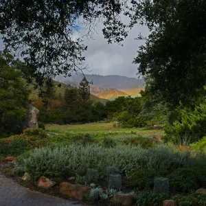 Low rainbow over the Meadow