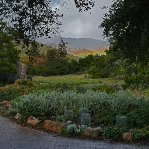 Low rainbow over the Meadow