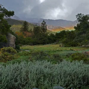 Low rainbow over the Meadow