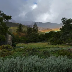 Low rainbow over the Meadow
