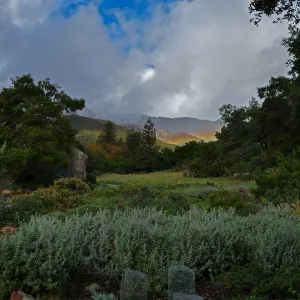 Low rainbow over the Meadow