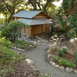 Teahouse & Garden Improvements 2018 looking southwest