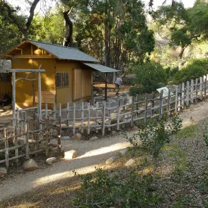 Teahouse & Garden Improvements 2018 looking north