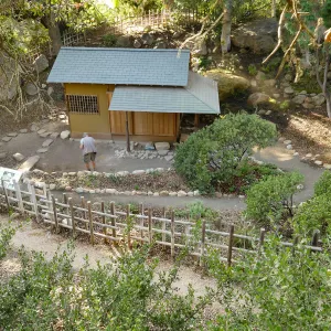 Teahouse & Garden Improvements 2018 looking west