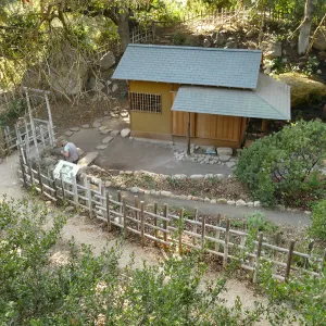 Teahouse & Garden Improvements 2018 looking west