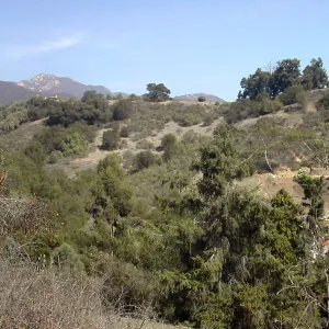 Cavalli Ridge