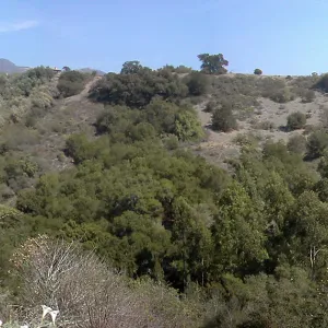 Cavalli Ridge