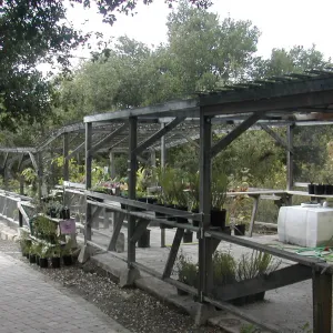 Arbor Terrace