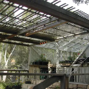 Arbor Terrace