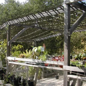Arbor Terrace