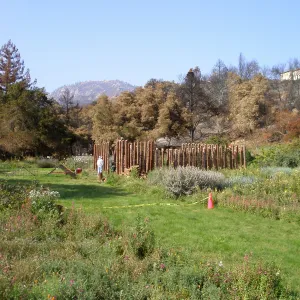 Herb Parker's â€˜Haven' labyrinth installation