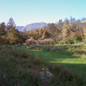 Herb Parker's â€˜Haven' labyrinth installation
