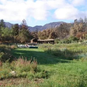Herb Parker's â€˜Haven' labyrinth installation