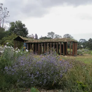 Herb Parker's â€˜Haven' labyrinth installation