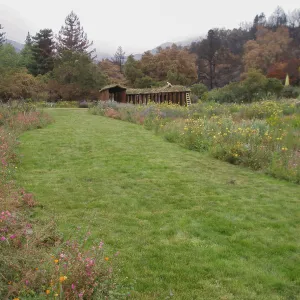 Herb Parker's â€˜Haven' labyrinth installation