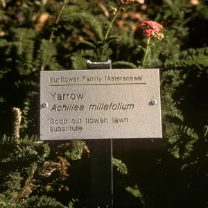 Public information plant label